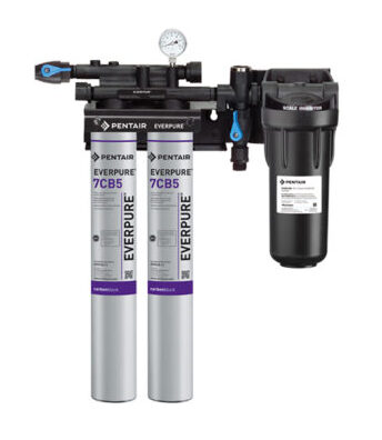 steam filtration systems EV979722 EVERPURE KLEENSTEAM II TWIN SYSTEM