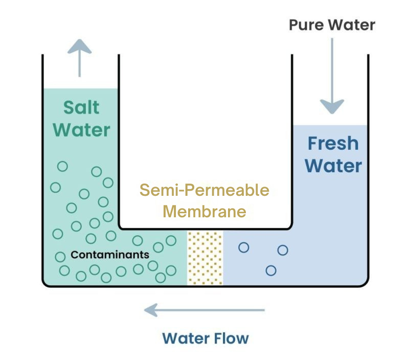 RO process